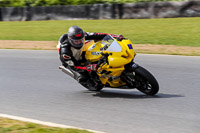 Advanced Group Yellow Bikes